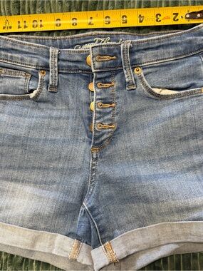 Universal Thread Light Blue High-Rise Button-Fly Denim Shorts